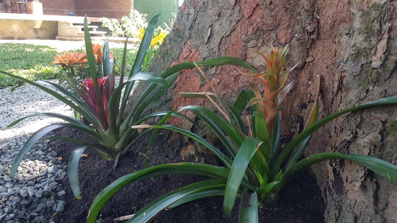 Suites Flor De Maria Na Martin De Sa Caraguatatuba Bagian luar foto